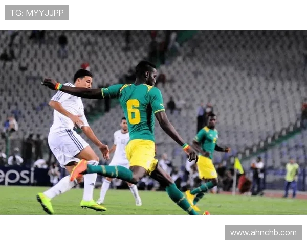 雄狮与黑豹非洲杯足球巅峰对决