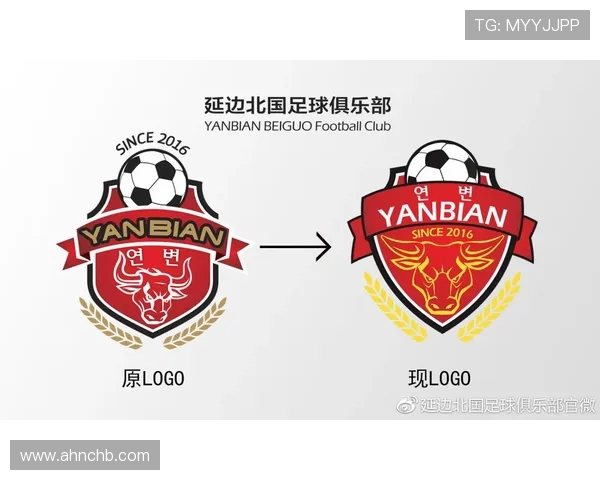 德甲球队队徽及队名的起源与历史演变详解