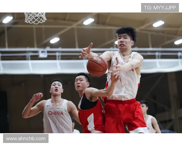 围绕巴西队04年世界杯名单解析黄金一代风云岁月传奇阵容荣耀与遗憾